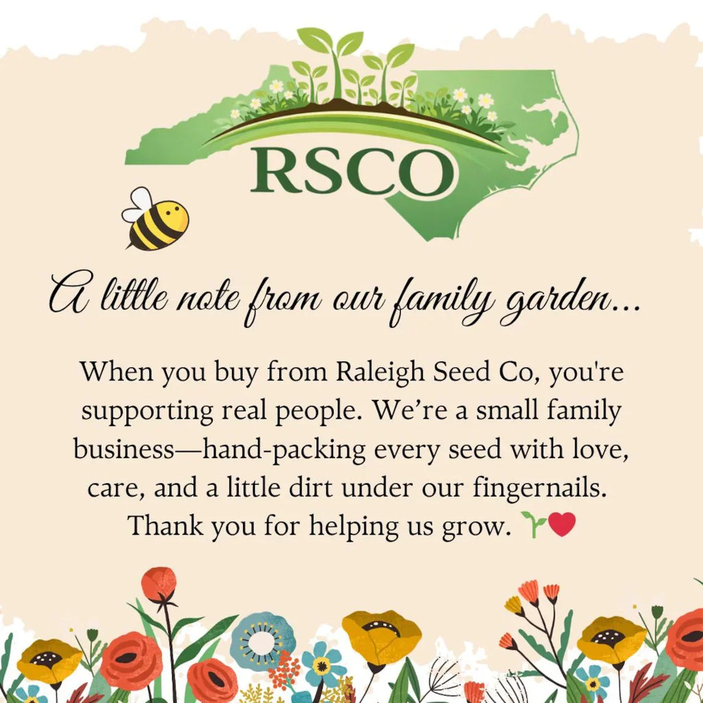 Baby in Bloom Seed Favors 25 Pack, Wildflower Plantable Baby Shower Gifts