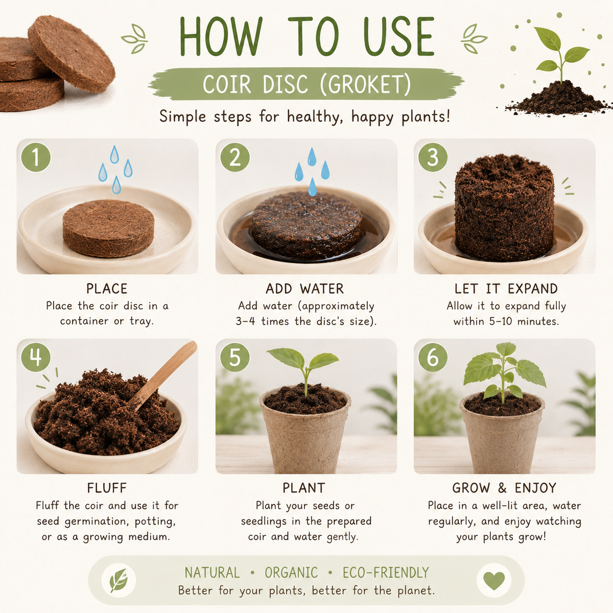 Pumpkin Patch Grow Kit