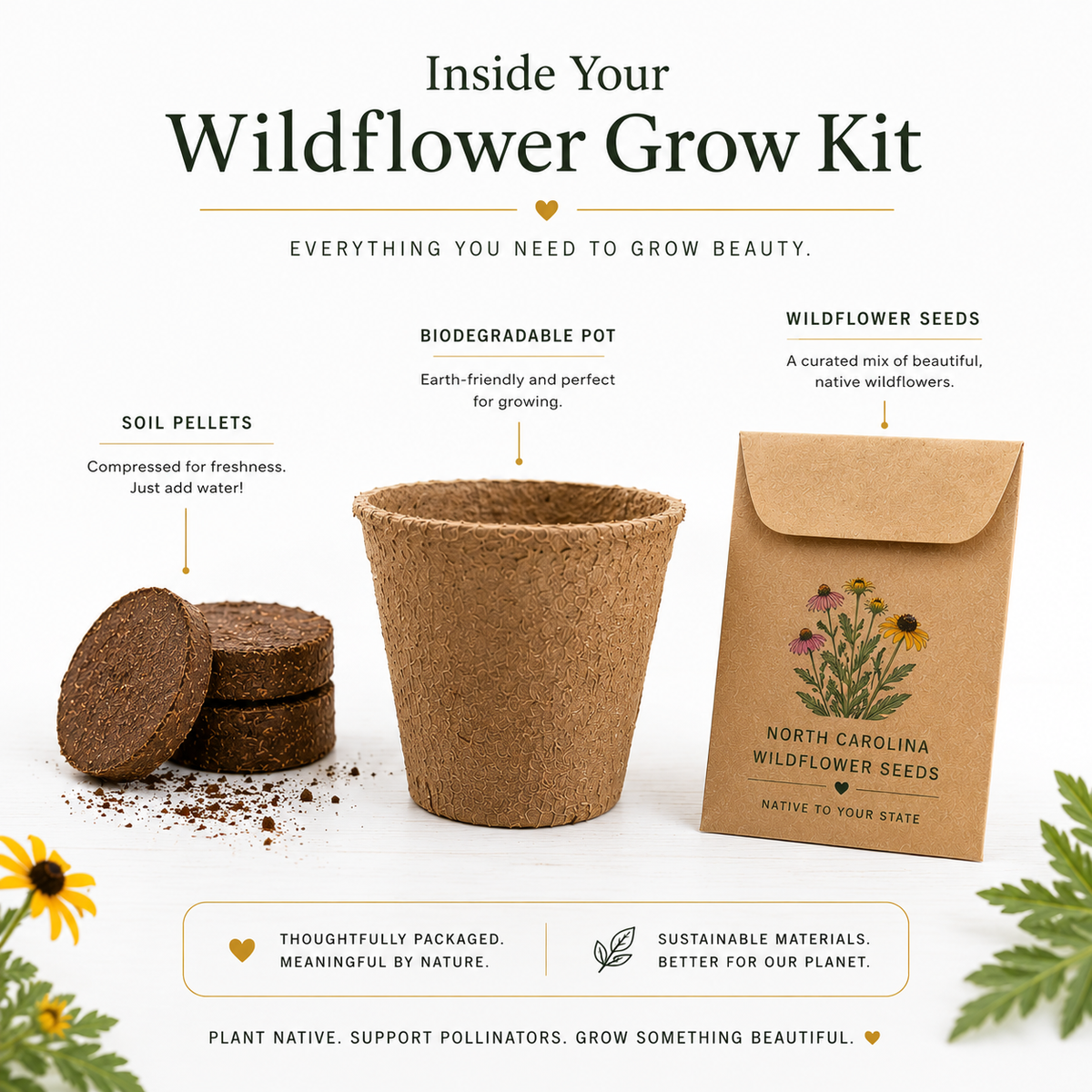 Florida Coreopsis Wildflower Grow Kit