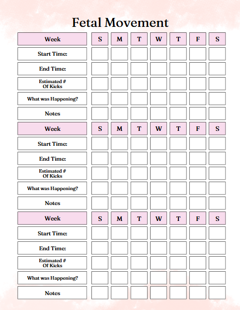Pregnancy Journal – 58-Page Editable Canva Template
